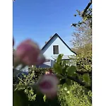 House In With 1 Bedroom