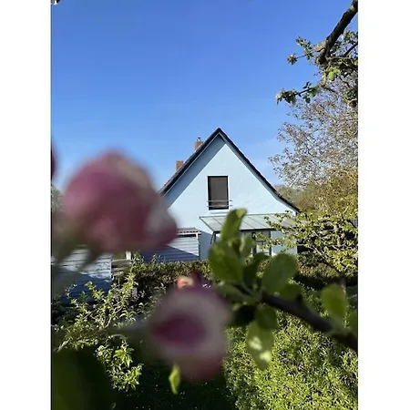 House In With 1 Bedroom