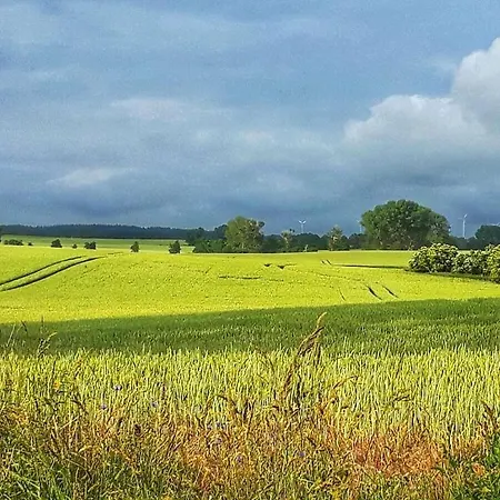 House In With 1 Bedroom 아파트 *