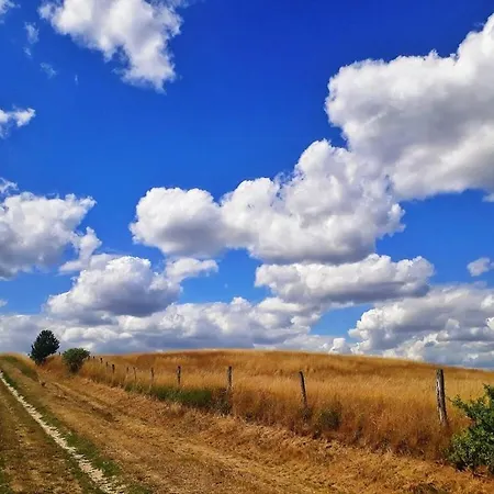 Apartman House In With 1 Bedroom Wildberg